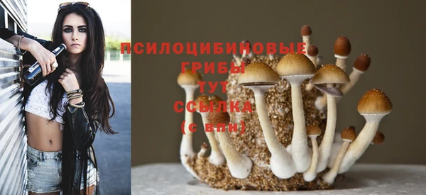 индика Арсеньев