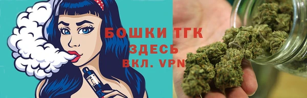 индика Арсеньев