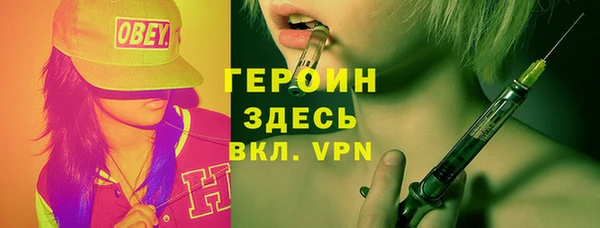 индика Арсеньев