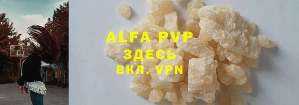 индика Арсеньев