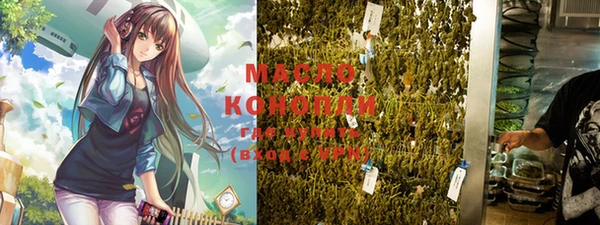 индика Арсеньев
