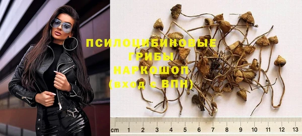 индика Арсеньев