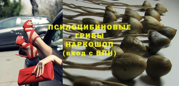 индика Арсеньев