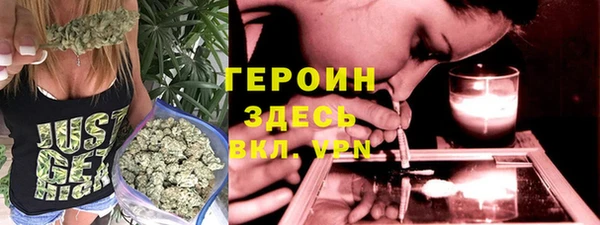 индика Арсеньев