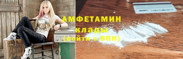 индика Арсеньев
