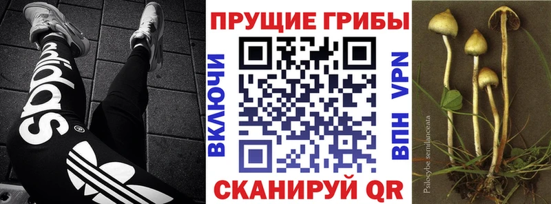 Псилоцибиновые грибы Magic Shrooms  это официальный сайт  Отрадная  MEGA ссылки 
